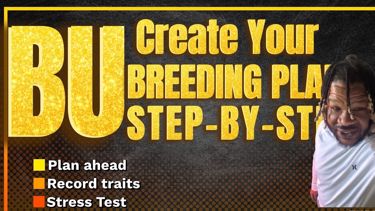 How to Create a Breeding Plan From Start to Finish Step-by-Step - YouTube