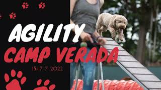 Agility camp | Verada | lagotto romagnolo 15.-17.7.2022 by Kudr Holky 201 views 1 year ago 6 minutes, 25 seconds