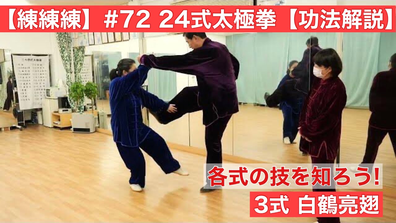 Practice Practice Practice] #72 24-Form Tai Chi 3-Form