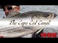 Striper Fishing: Cape Cod Canal (2019)