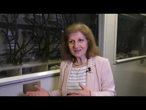 Emeritus Professor Maria Skyllas-Kazacos explains vanadium redox flow batteries (VRFBs) - video from VSUN Energy