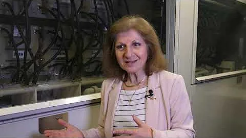 Emeritus Professor Maria Skyllas-Kazacos explains ...