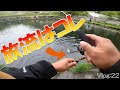 【エリアトラウト】放流はコレ【小菅トラウトガーデン】