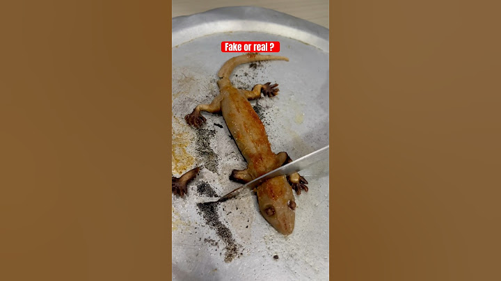 Man eatting lizard 🤣 #shorts #trending #lizard #hunting