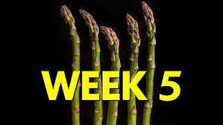 CIS 60 A Week 5