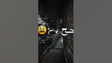 مطر علينا ريح يوسف باللعب 