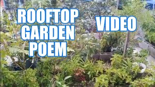 ROOFTOP GARDEN POEM