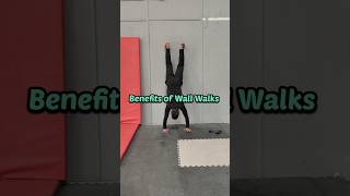 Who Knew Wall Walks Could Give You THESE Incredible Benefits? #shorts #bodyweighttraining #wallwalk