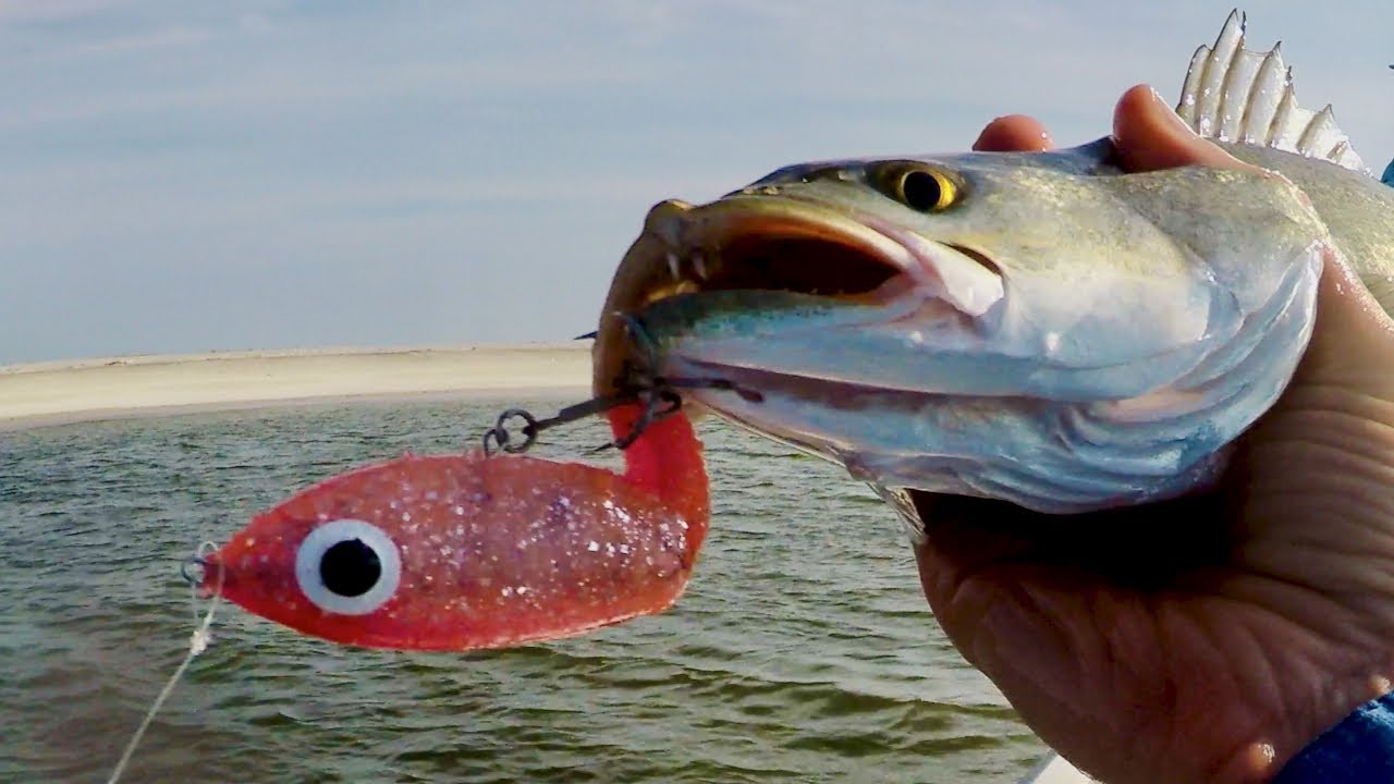 Trout Frenzy on the Mississippi Coast 