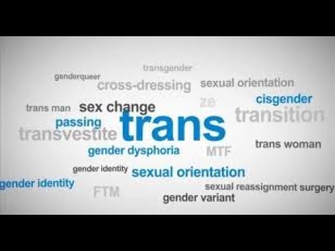 Transgender Terms - YouTube