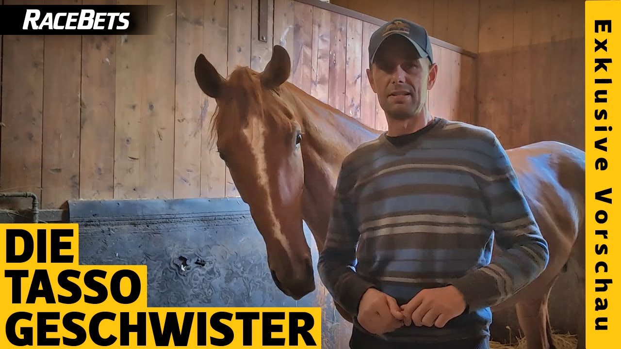 RaceBets Exklusiv: Torquator Tassos Geschwister stehen in den Startlöchern