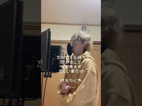 2rugi - 夢の国 (singing video)