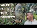 I Found a Creepy Forest in Durban… And It’s Full of Weird Statues!