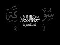    سورة القارعة