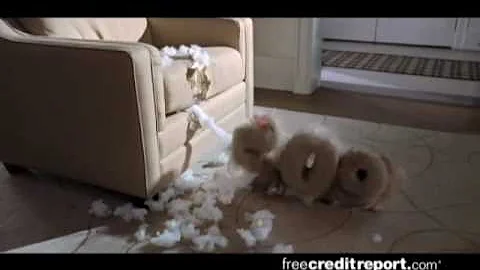 Free Credit Report.com Hilarious Commercial - Good...