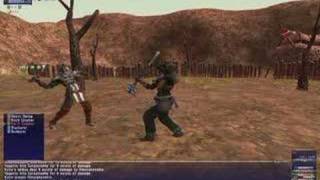 68 war/nin vs lv 75 162 staff skill republic signet staff