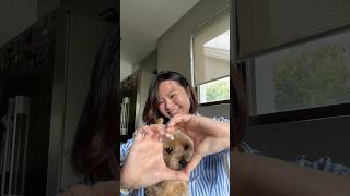 Merry Christmas Kye Sees