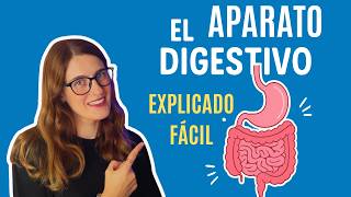 Aparato Digestivo Explicado en 13 Minutos: Resumen Completo y Fácil de Entender Aparato Digestivo Explicado en 13 Minutos: Resumen Completo y Fácil de Entender