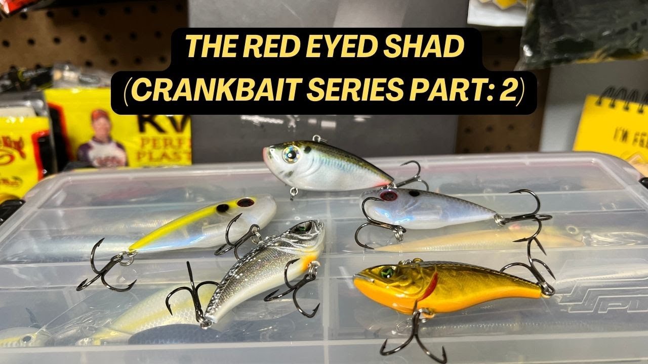 Crankbait Vintage The Producers Prism Shad - 9/16oz 2-3/4" - Rouge - Modèle 2468