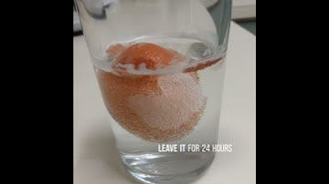 Egg membrane experiment