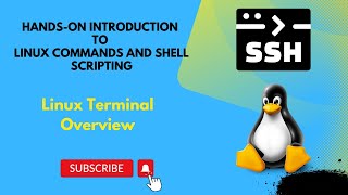 Linux Terminal Overview || Hands-on Introduction to Linux Commands and Shell Scripting