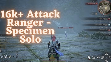 DPS Buff 16k+ Attack Ranger -  Specimen Solo - Bless Unleashed