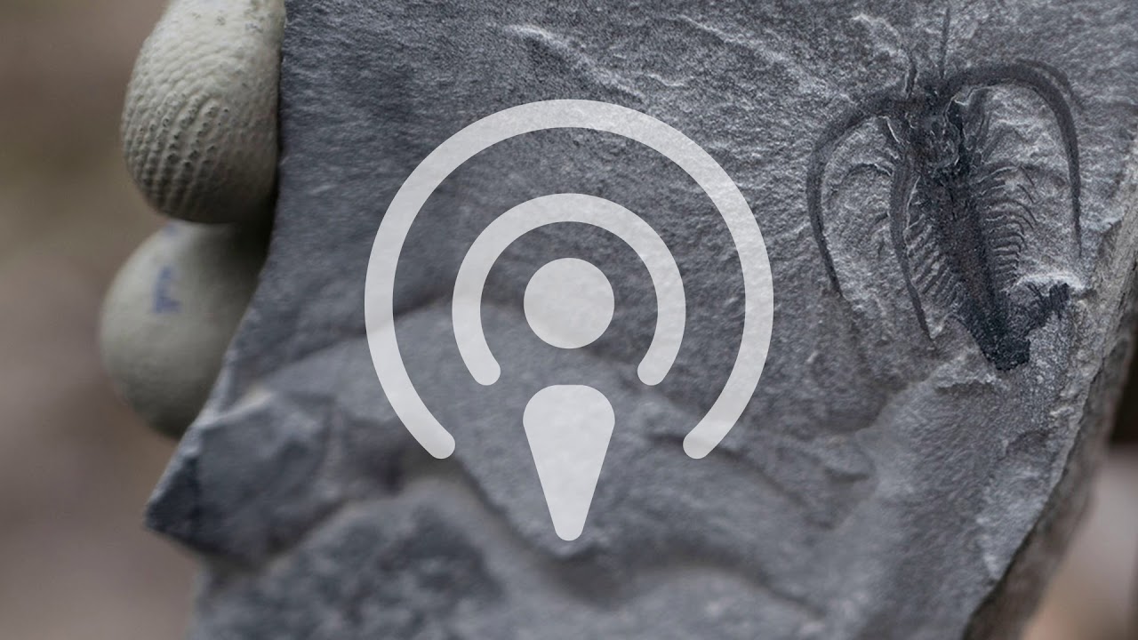 Podcast (audio only): Exploring the Cambrian and building a DNA database for forensics