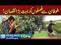 Storm Causes Massive Crop Damage, Farmers Face Heavy Losses | 10pm News Headlines | 11 June 2026