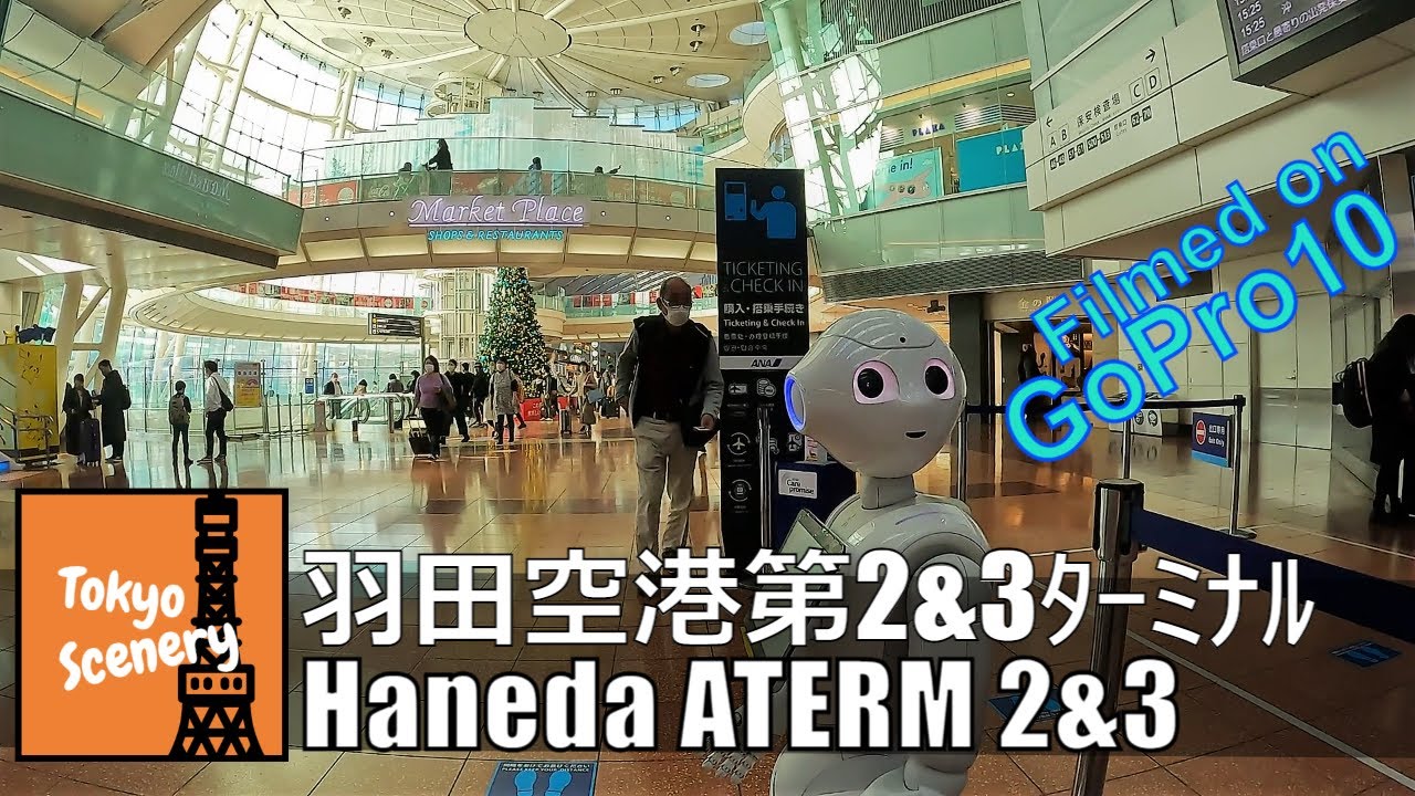 Haneda Airport: Croweded Domestic & Empty International Terminal【GoPro HERO 10 4K】 (Nov 2021) 羽田空港