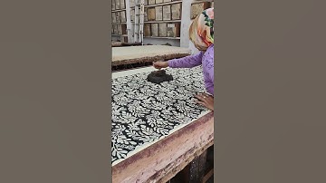 Hand block Print#bagruhandblockprint #dabuprint #travel Jaipur