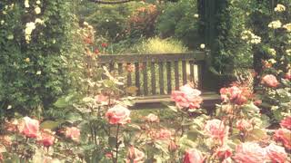 Lost in a secret royal garden 🌹soft nature ambience and music🌹 screenshot 4