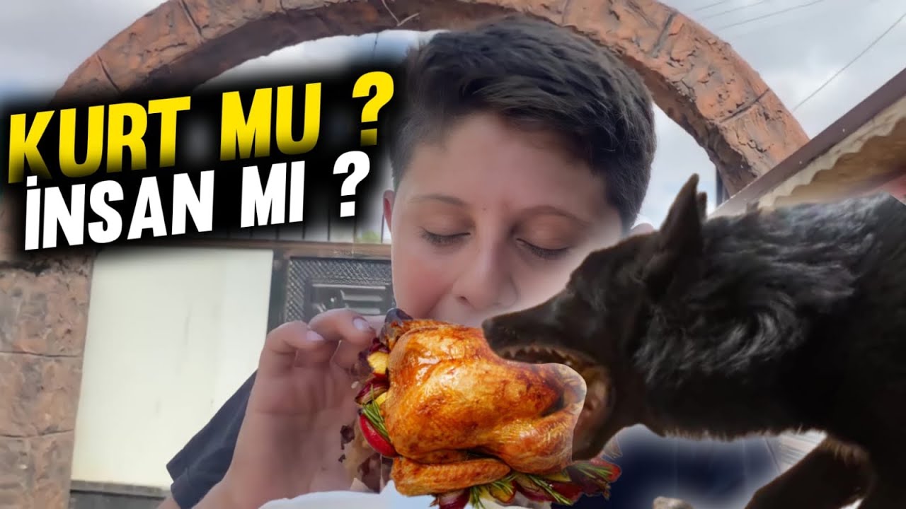 KURT MU ?KÖPEK Mİ ?İNSAN MI ? HAYVAN VS İNSANTAVUK YEME YARIŞMASI