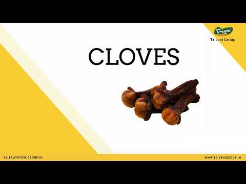 Cloves at wholesale Price | Whole Spices Supplier | Cloves at Cheap Price | Importer of Whole Spices - video from Triveni Group