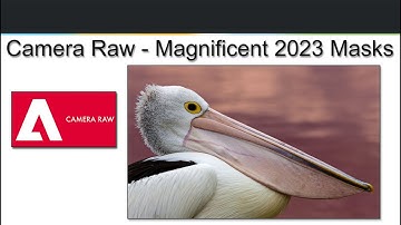 115 - 5 Minute Video - Camera Raw - Magnificent 2023 Masks