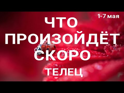 ТЕЛЕЦ🍀 Прогноз на неделю (1-7 мая 2023). Расклад от ТАТЬЯНЫ КЛЕВЕР. Клевер таро.