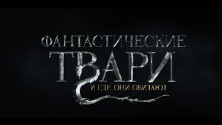 «Фантастические твари и где они обитают» — фильм в СИНЕМА ПАРК