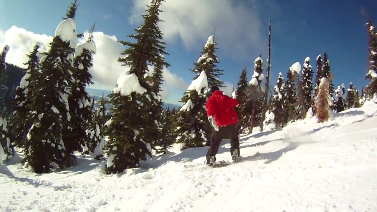 BioWare Backside Best of 2010