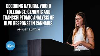 Decoding Natural Viroid Tolerance: Genomic & Transcriptomic Analysis of HLVd Response in Cannabis