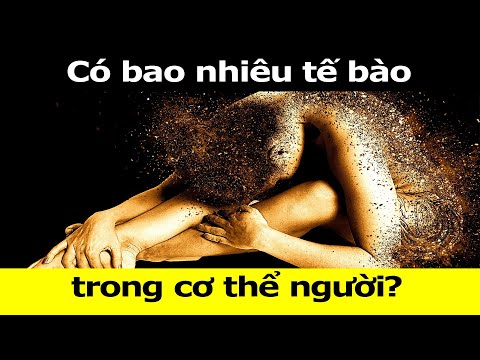 Video: Có Bao Nhiêu Tế Bào Trong Cơ Thể Con Người