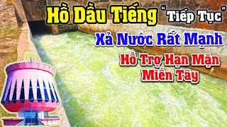 Khám Phá Cống Xã Nước HỒ DẦU TIẾNG "Tiếp Tục" Xã Rất Mạnh về Sông Vàm Cỏ Đông Chống Nắng Khô Hạn