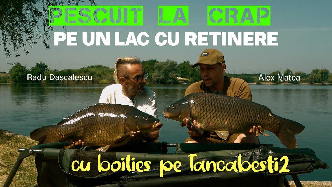 Pescuit la crap cu boilies pe un lac cu retinere
