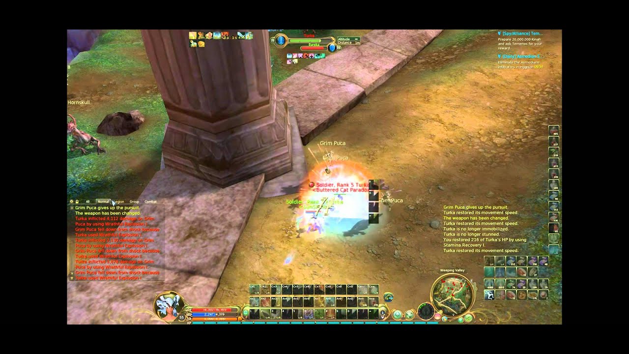Aion Templar vs Gladiator - YouTube