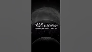 قالب قران كاب كات|quran-capcut-template|القارئ #ياسر_الدوسري|سورة الإسراء