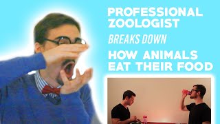 Professional Zoologist Breaks Down How Animals Eat Their Food