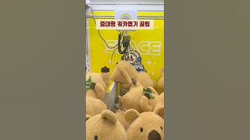 꼭 5천원에 뽑기! 약속~🤙🏻 #인형뽑기 #뽑기 #꿀팁 #shorts #shortvideo #clawmachine #人形 #búpbê #抓娃娃机