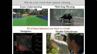 Using Embodied AI to help answer “why” questions in systems neuroscience