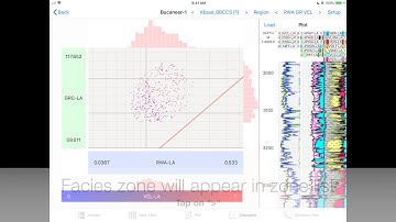 Petrophysical cross section
