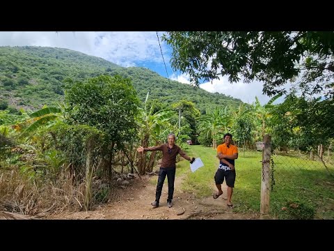 Video Vì sao 2 vợ chồng bán tuyệt phẩm 8076m2 nhà vườn ngay... - youtube