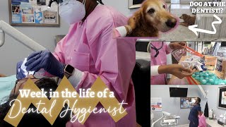 INTERESTING Week in the life of a Dental Hygienist