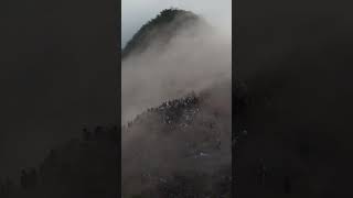 해돋이 영상